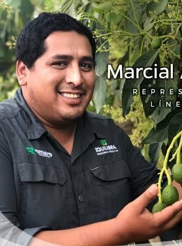 Ing. Marcial Eduardo Alvarado Malpartida