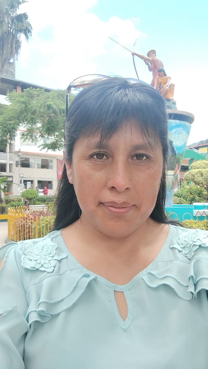 Ing. Magdalena María Lázaro Caysahuana